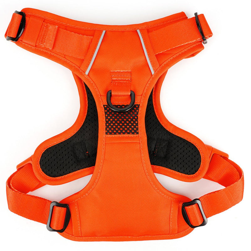 Bold Orange No Pull Harness & Leash Bundle - Beast & Buckle