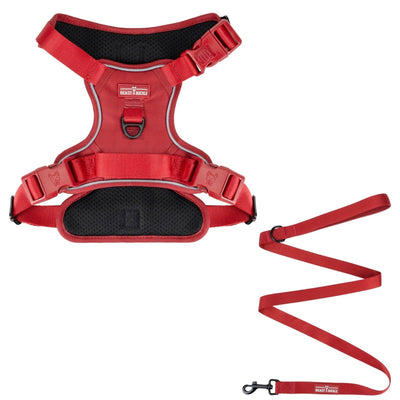 Burgundy No Pull Harness & Leash Bundle - Beast & Buckle