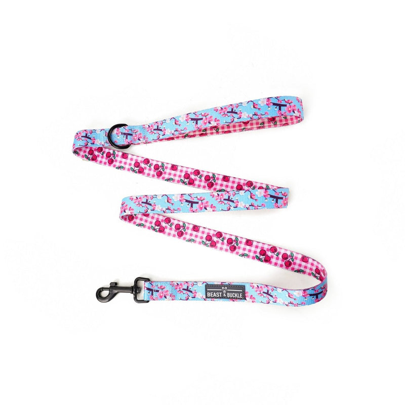 Cherry Blossom Harness & Leash Set - Beast & Buckle