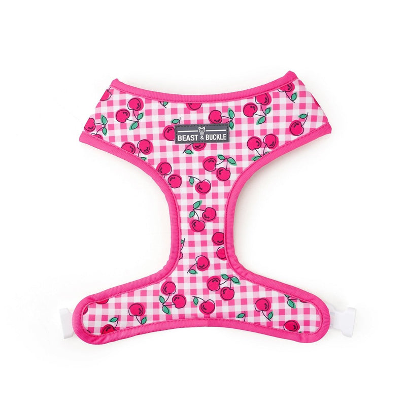 Cherry Blossom Harness & Leash Set - Beast & Buckle