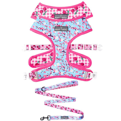 Cherry Blossom Harness & Leash Set - Beast & Buckle