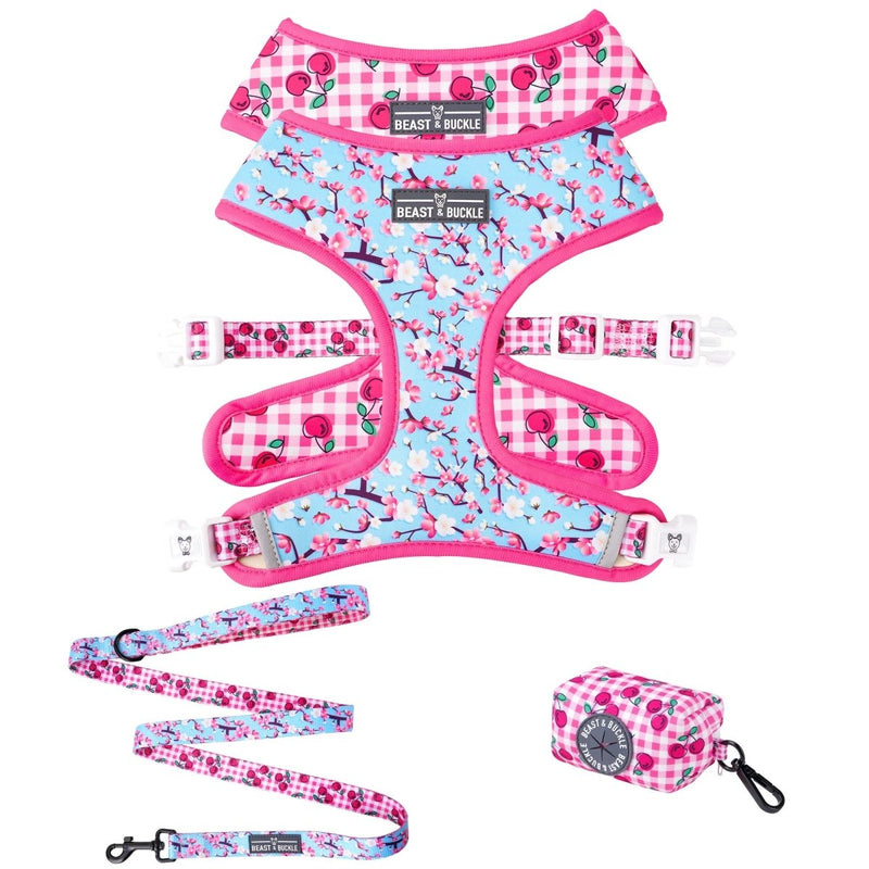 Cherry Blossom Walking Bundle - Beast & Buckle