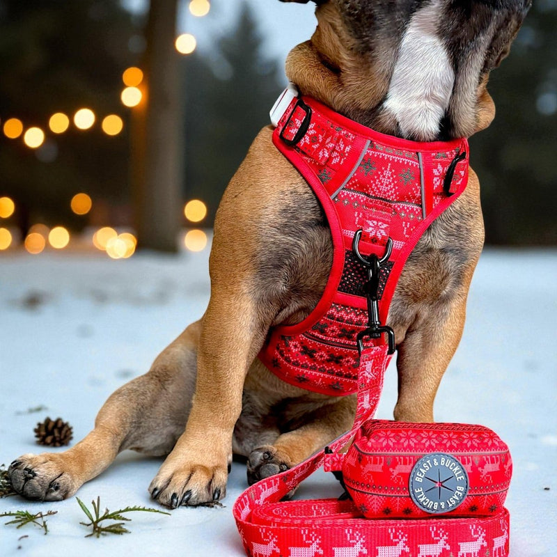 Christmas Sweater No Pull Harness & Leash Bundle - Beast & Buckle