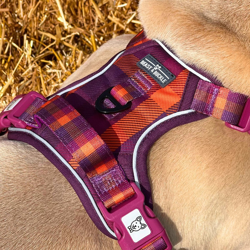 Cozy Plaid No Pull Harness Bundle - Beast & Buckle