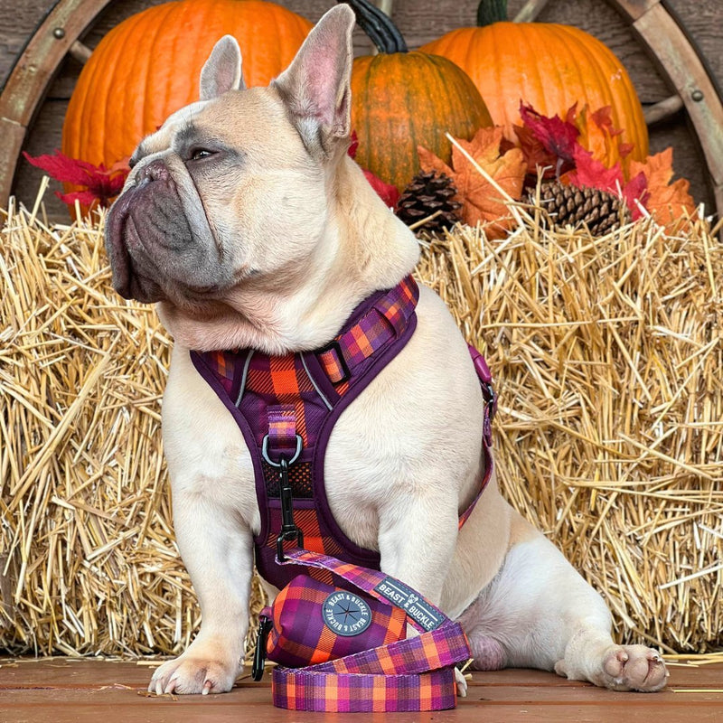 Cozy Plaid No Pull Harness Bundle - Beast & Buckle