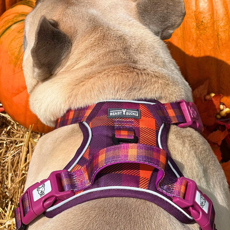 Cozy Plaid No Pull Harness Bundle - Beast & Buckle