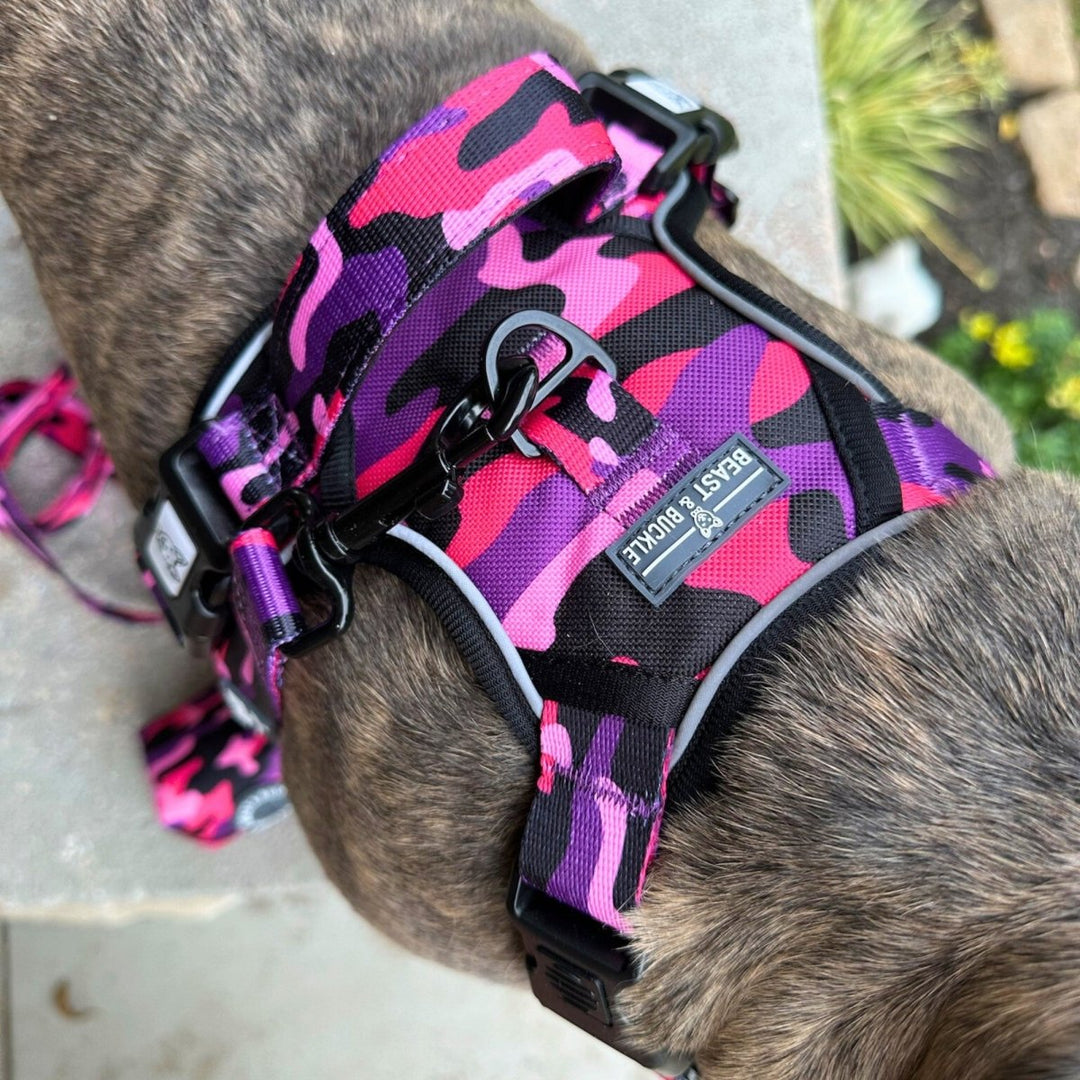 Cute Camo No Pull Dog Harness – Beast Buckle