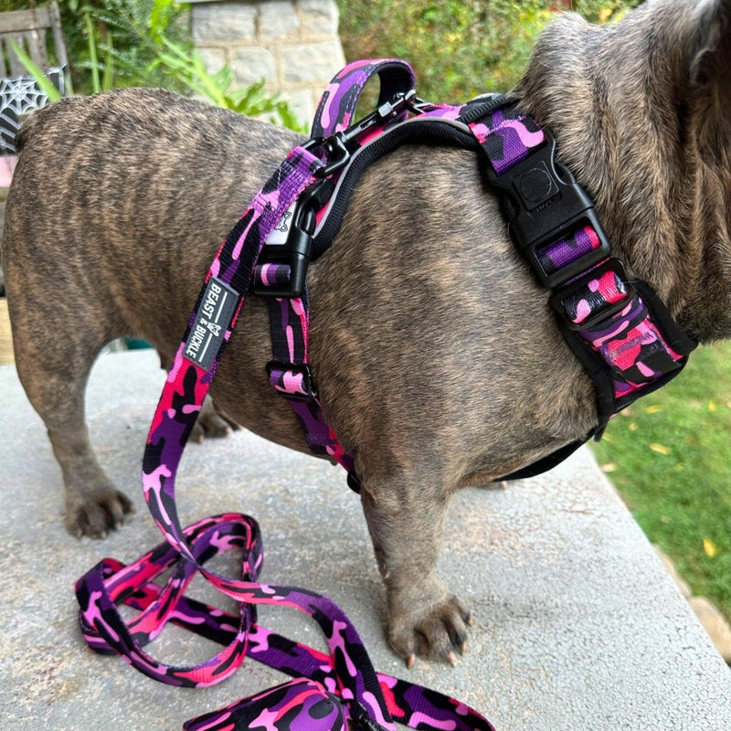 Cute Camo No Pull Dog Harness - Beast & Buckle