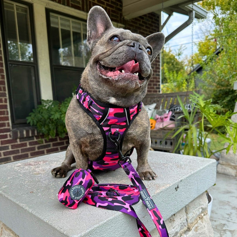 Cute Camo No Pull Dog Harness - Beast & Buckle