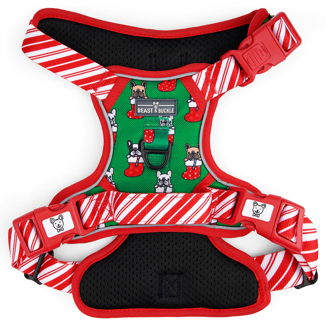 Festive Frenchies No Pull Dog Harness – Beast & Buckle
