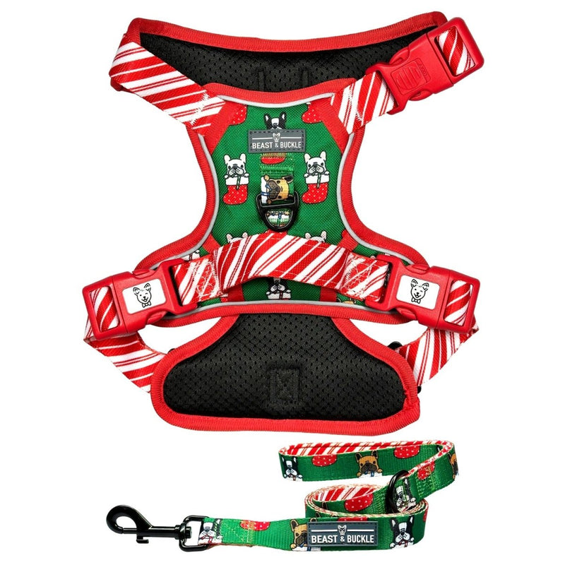 Festive Frenchies No Pull Harness Bundle - Beast & Buckle