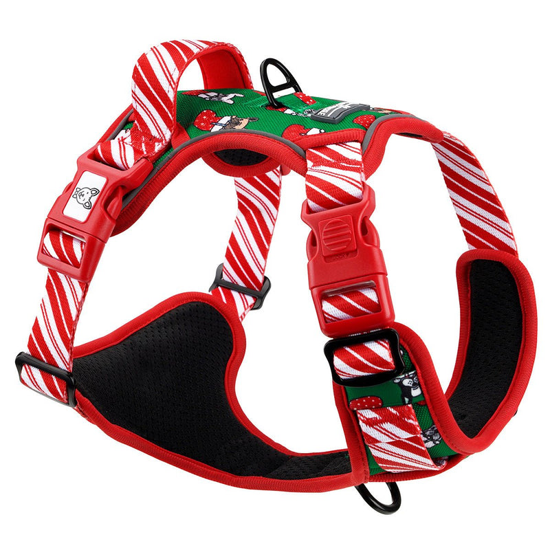 Festive Frenchies No Pull Harness & Leash Bundle - Beast & Buckle