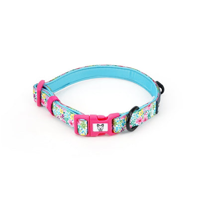 Floral Dog Collar - Beast & Buckle