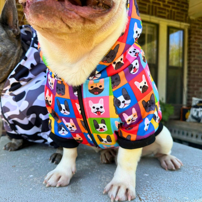 Frenchie Fam Hoodie for Small Dogs - Beast & Buckle