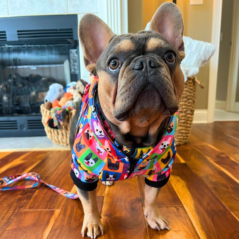 Frenchie Fam Hoodie for Small Dogs - Beast & Buckle