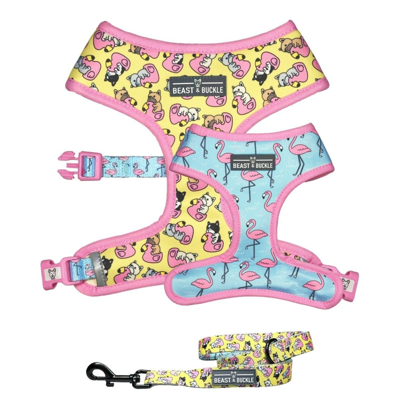 Frenchie Flamingo Harness & Leash Set - Beast & Buckle