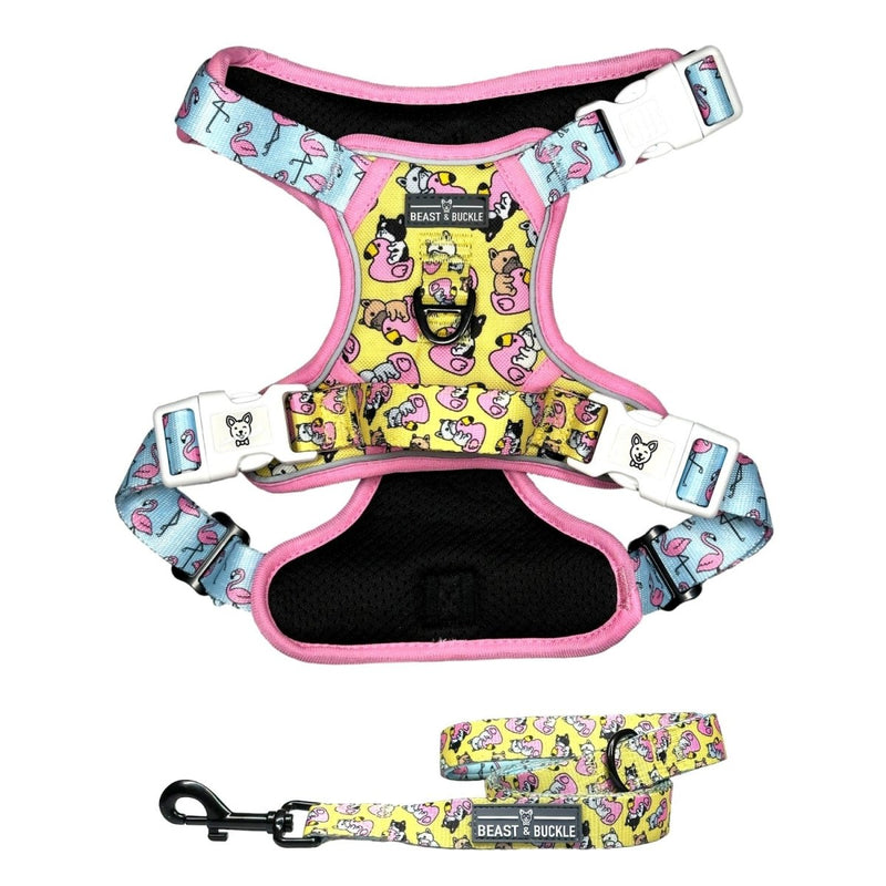 Frenchie Flamingo No Pull Harness Bundle - Beast & Buckle