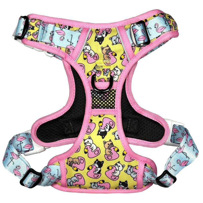 Frenchie Flamingo No Pull Harness Bundle - Beast & Buckle