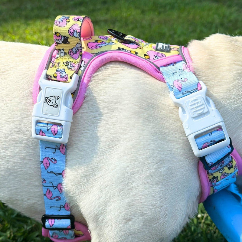 Frenchie Flamingo No Pull Harness Bundle - Beast & Buckle