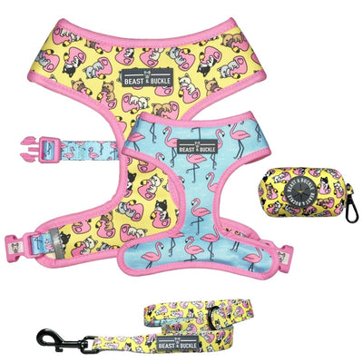 Frenchie Flamingo Walking Bundle - Beast & Buckle