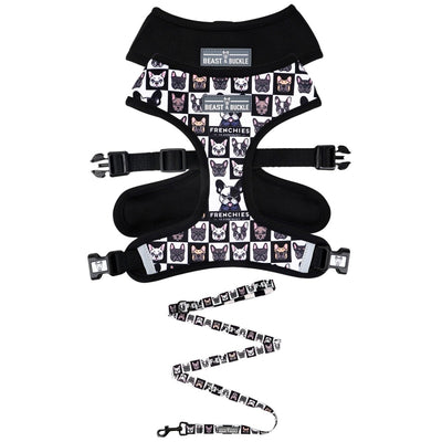 Frenchies vs. Everybody Harness and Leash Set - Beast & Buckle