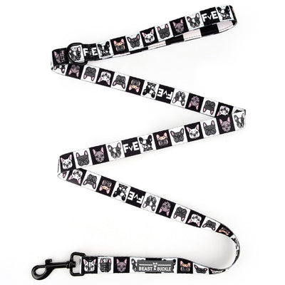 Frenchies vs. Everybody Harness and Leash Set - Beast & Buckle