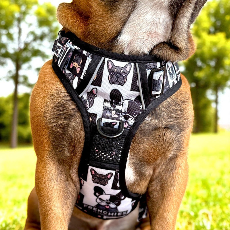 Frenchies vs. Everybody No Pull Harness & Leash Bundle - Beast & Buckle