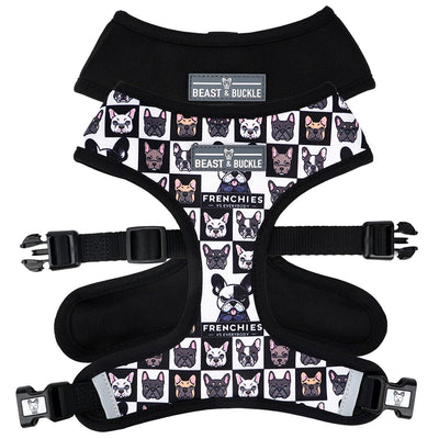 Frenchies vs. Everybody Reversible Dog Harness - Beast & Buckle