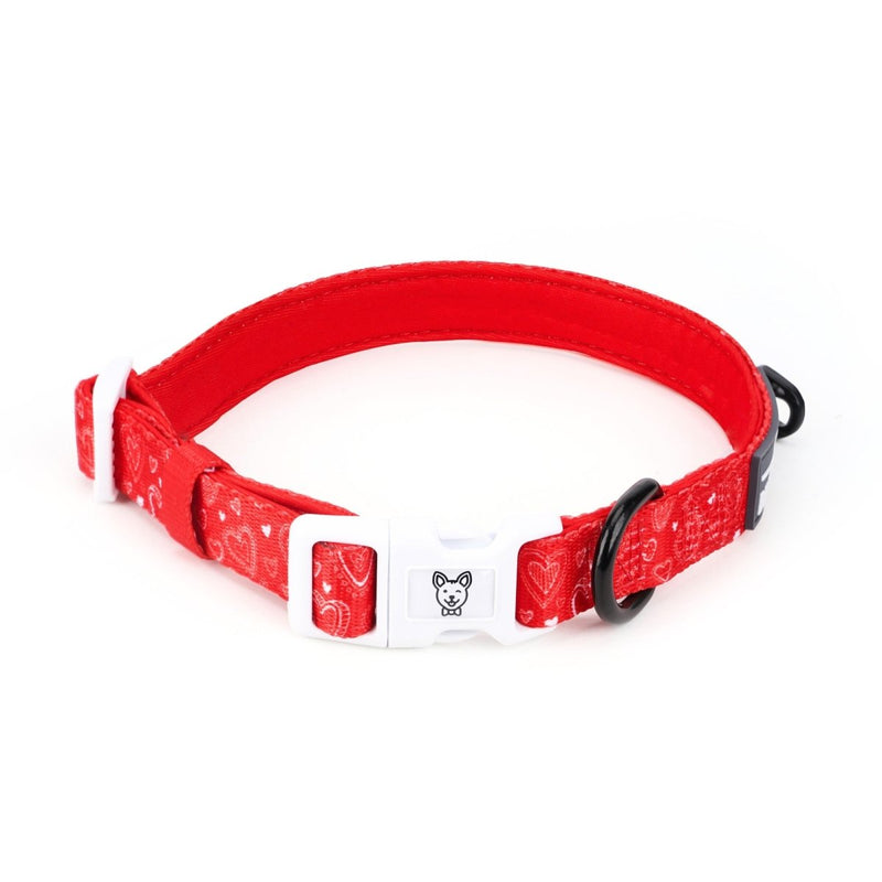 Hearts Dog Collar - Beast & Buckle