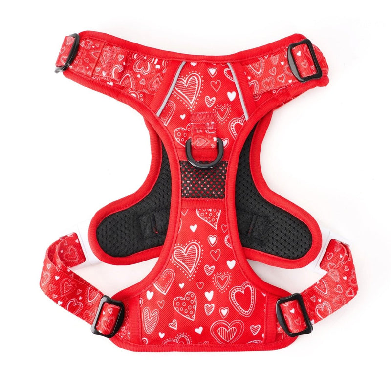 Hearts No Pull Dog Harness - Beast & Buckle