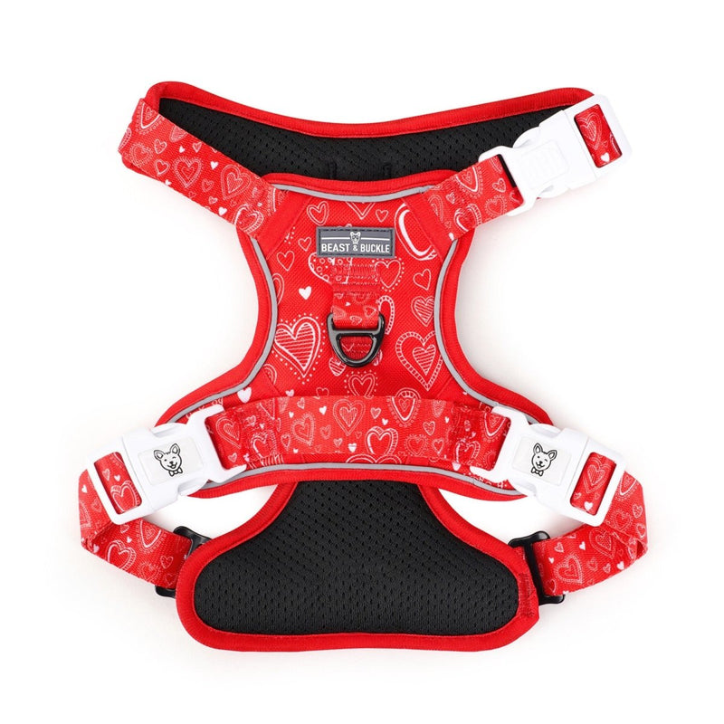 Hearts No Pull Dog Harness - Beast & Buckle