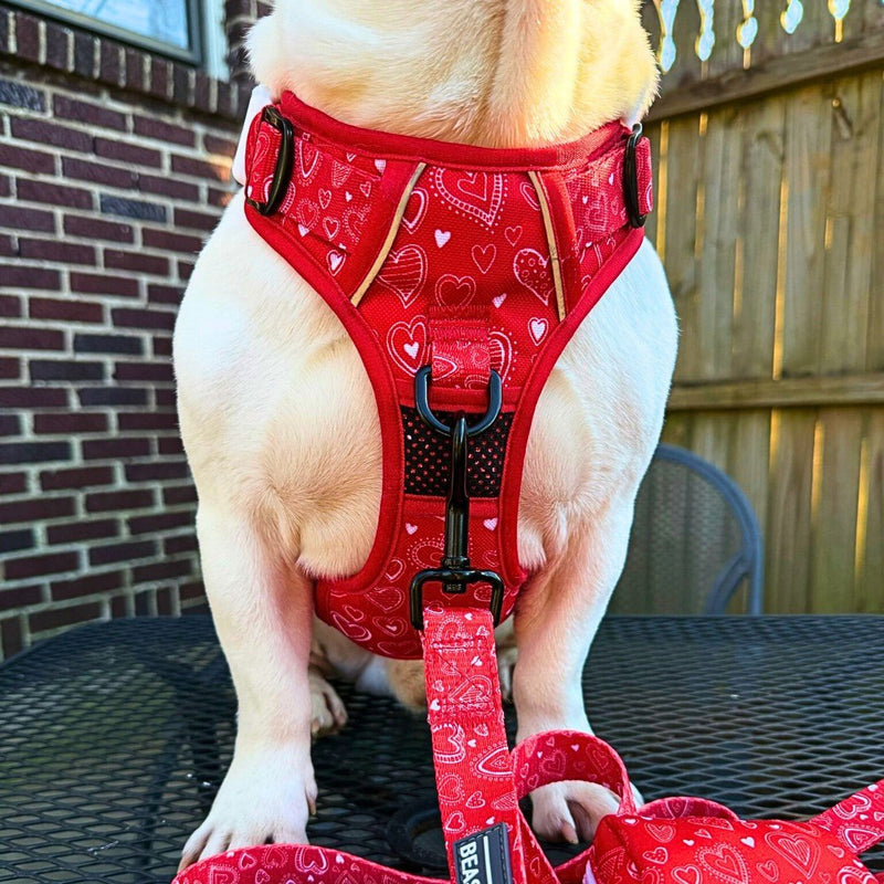 Hearts No Pull Dog Harness - Beast & Buckle