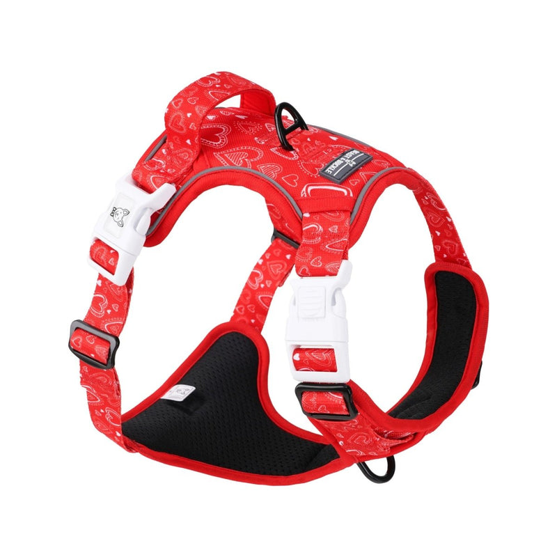 Hearts No Pull Dog Harness - Beast & Buckle