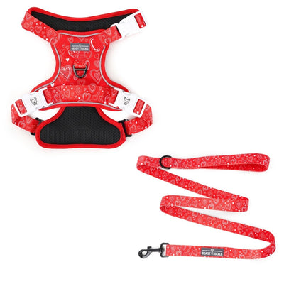 Hearts No Pull Harness Bundle - Beast & Buckle