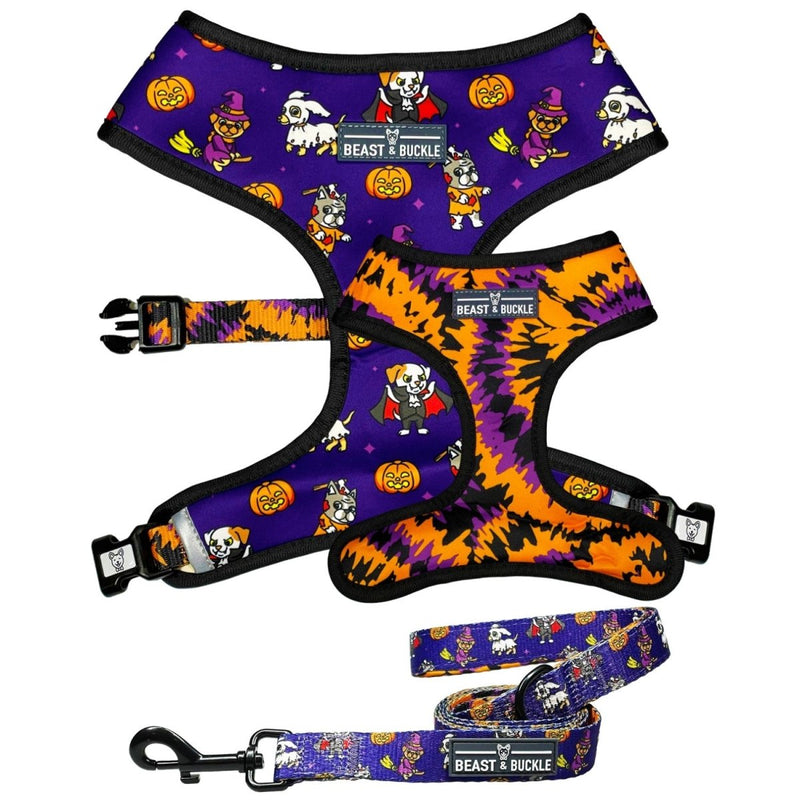 Howl - oween Harness & Leash Set - Beast & Buckle