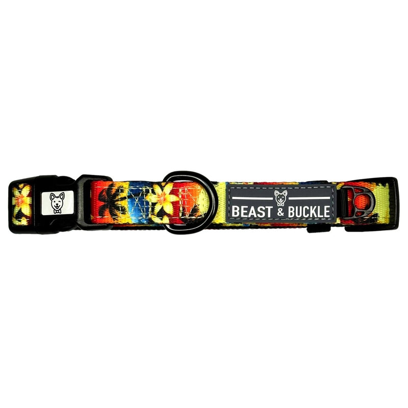 Island Sunset Dog Collar - Beast & Buckle