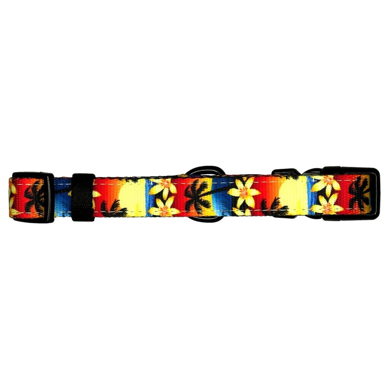 Island Sunset Dog Collar - Beast & Buckle