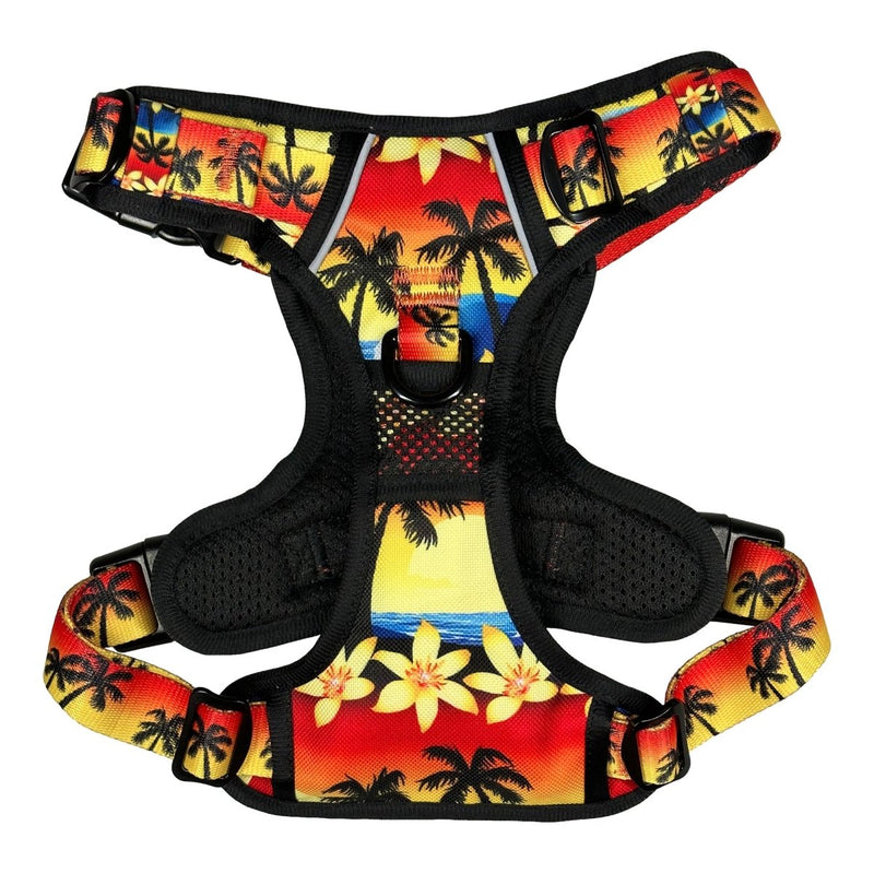 Island Sunset No Pull Harness Bundle - Beast & Buckle