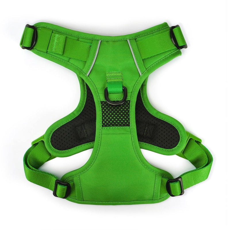 Kelly Green No Pull Harness Bundle - Beast & Buckle