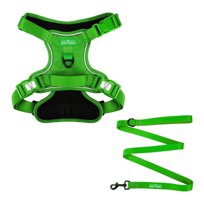 Kelly Green No Pull Harness Bundle - Beast & Buckle