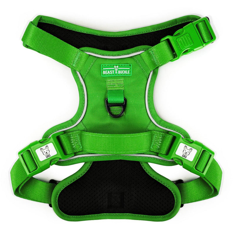 Kelly Green No Pull Harness Bundle - Beast & Buckle
