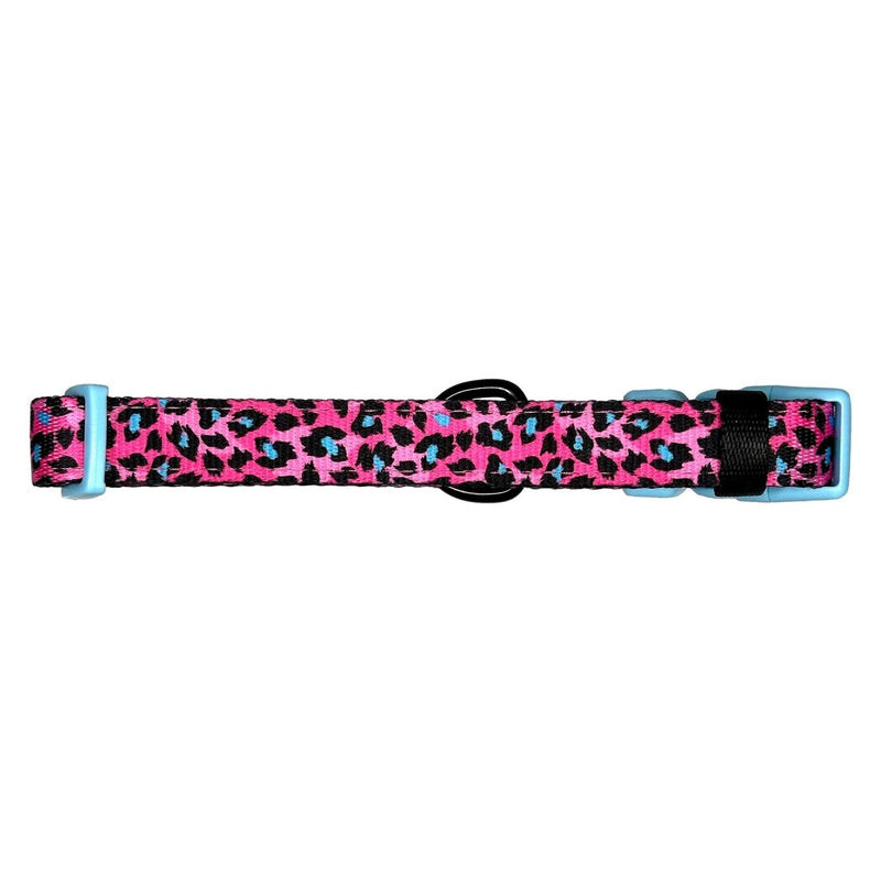 Lady Leopard Dog Collar - Beast & Buckle