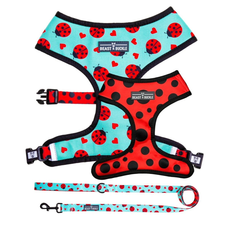 Ladybug Harness & Leash Set - Beast & Buckle