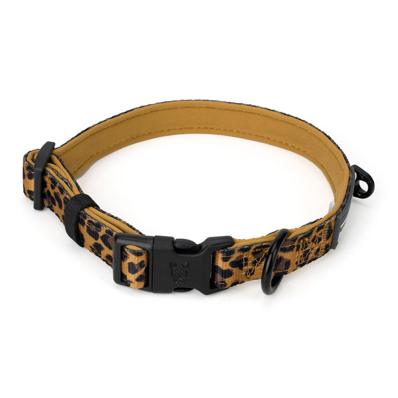 Leopard Dog Collar - Beast & Buckle
