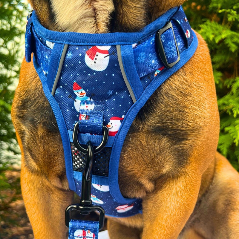 Let It Snow No Pull Dog Harness - Beast & Buckle