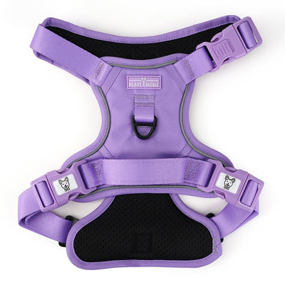 Lilac No Pull Harness Bundle - Beast & Buckle