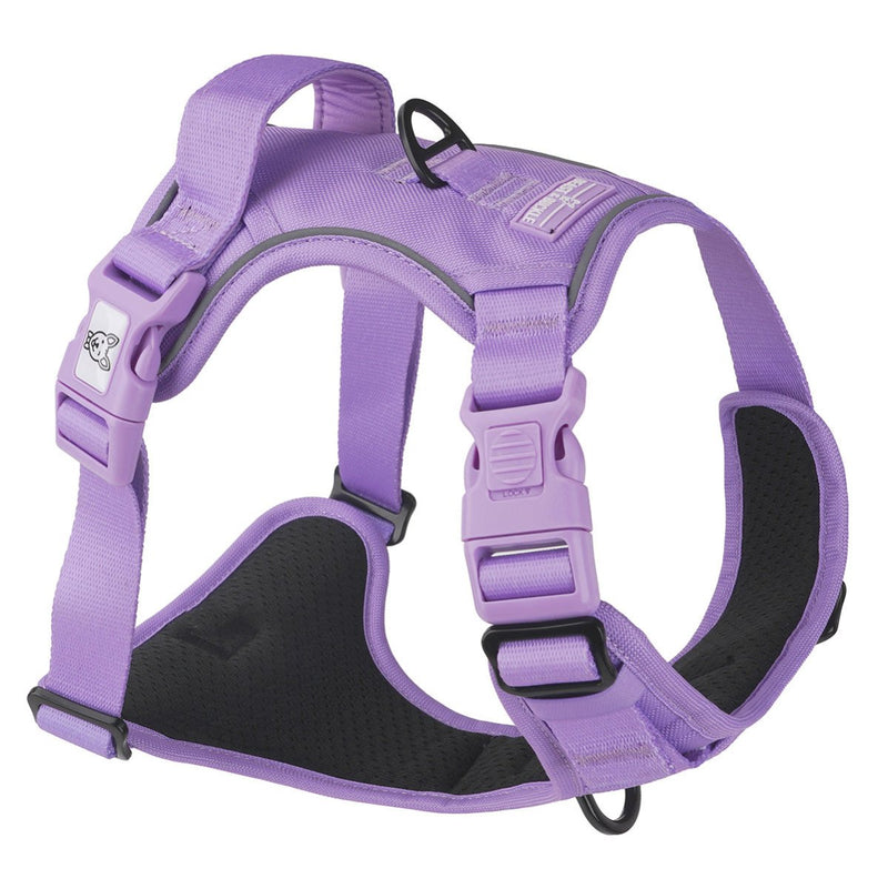 Lilac No Pull Harness Bundle - Beast & Buckle