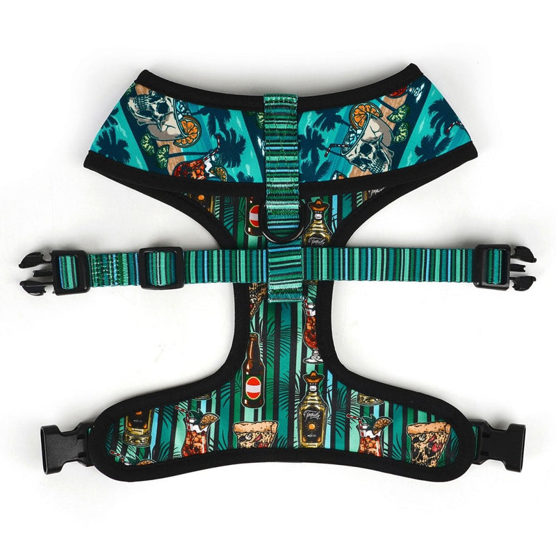 Margarita Walking Bundle - Beast & Buckle