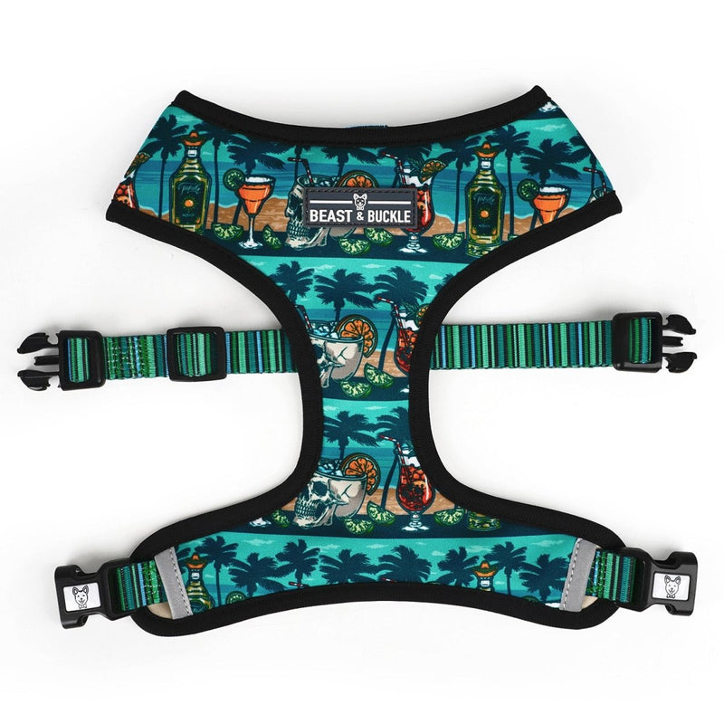 Margarita Walking Bundle - Beast & Buckle