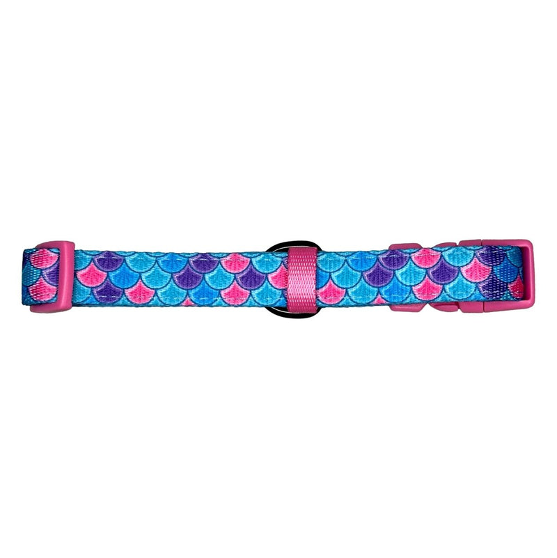 Mermaid Dog Collar - Beast & Buckle